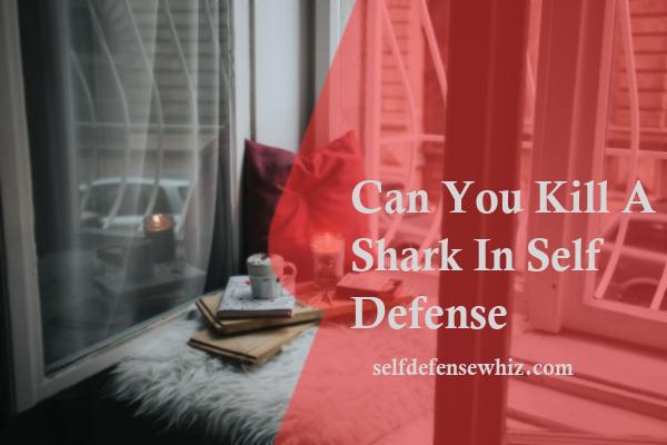 Can You Kill A Shark In Self Defense