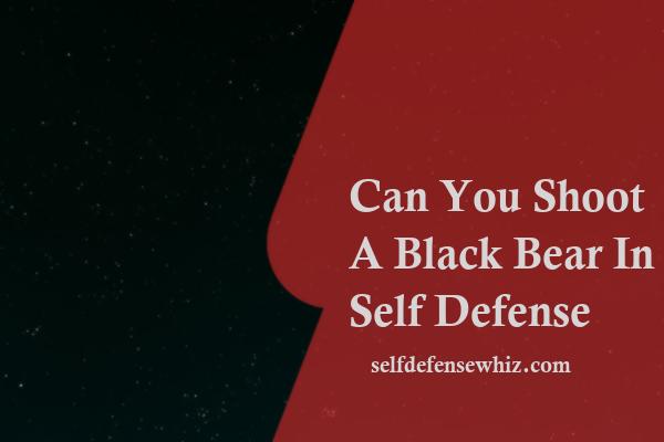 Can You Shoot A Black Bear In Self Defense