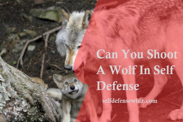 Can You Shoot A Wolf In Self Defense