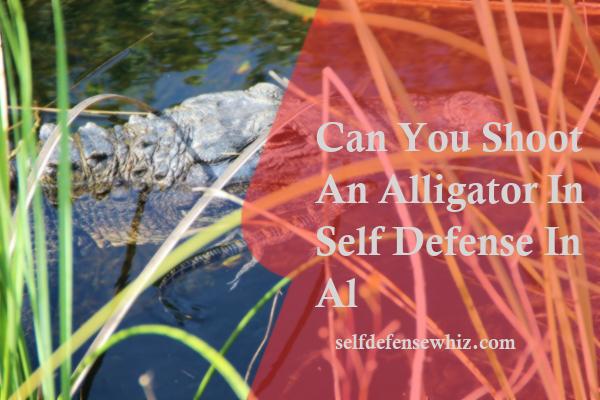 Can You Shoot An Alligator In Self Defense In Al