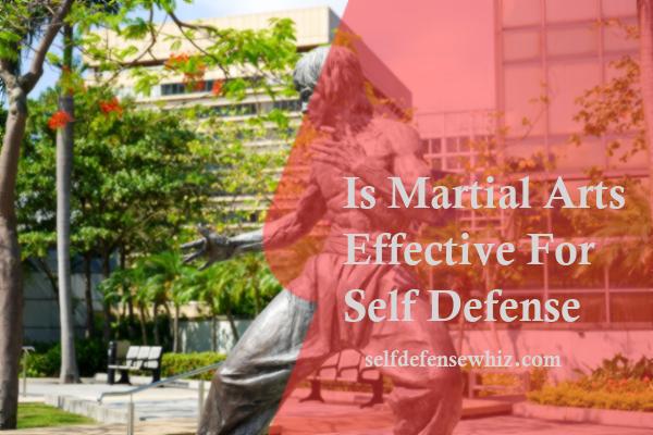 Is Martial Arts Effective For Self Defense