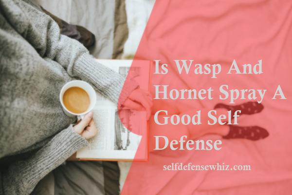 Is Wasp And Hornet Spray A Good Self Defense