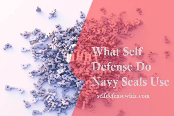What Self Defense Do Navy Seals Use