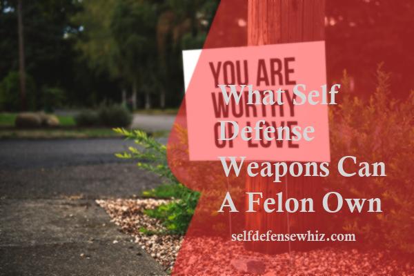 What Self Defense Weapons Can A Felon Own